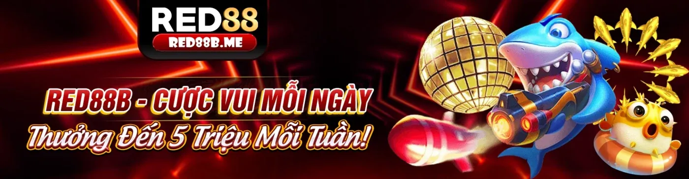 Hình ảnh chính sách bảo mật của tải betvnd9